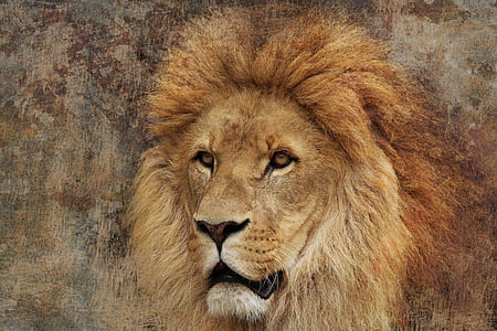 brown lion painting thumbnail