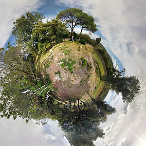 360 degree photography of forest thumbnail