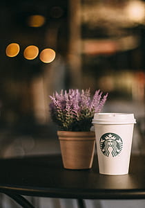 wood, coffee, cup, flowers thumbnail
