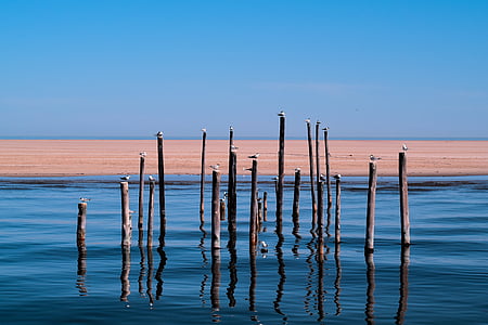 brown wooden rods under blue sky thumbnail