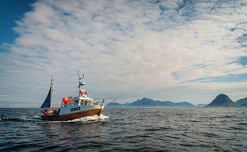 white and brown yacht on body of water thumbnail