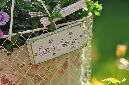 Bim im garten thumbnail