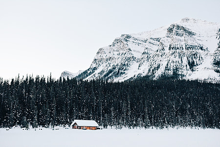 house near trees in front of mountain range thumbnail