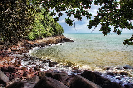 ocean wave on rocks near trees during daytime thumbnail