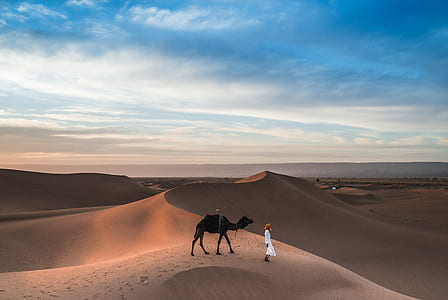 man standing beside camel on desert thumbnail