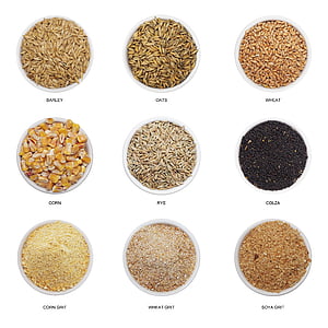 assorted-color seed lot collage thumbnail