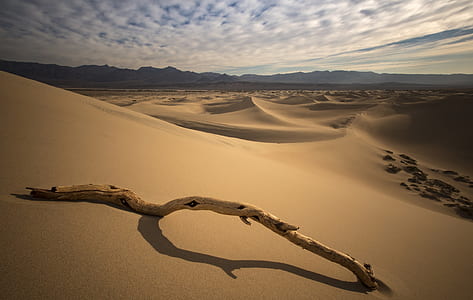 landscape photo of desert thumbnail