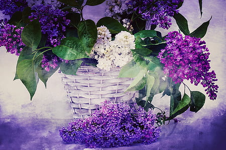 purple and white petaled flowers in white basket thumbnail