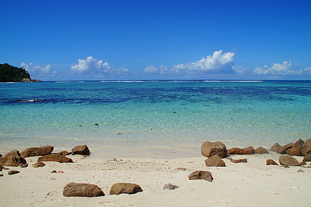 brown rocks on seashore during daytime thumbnail