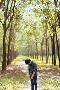 Photo Of Person Standing In Between Trees thumbnail