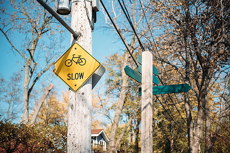 two brown wooden road signs near tree thumbnail