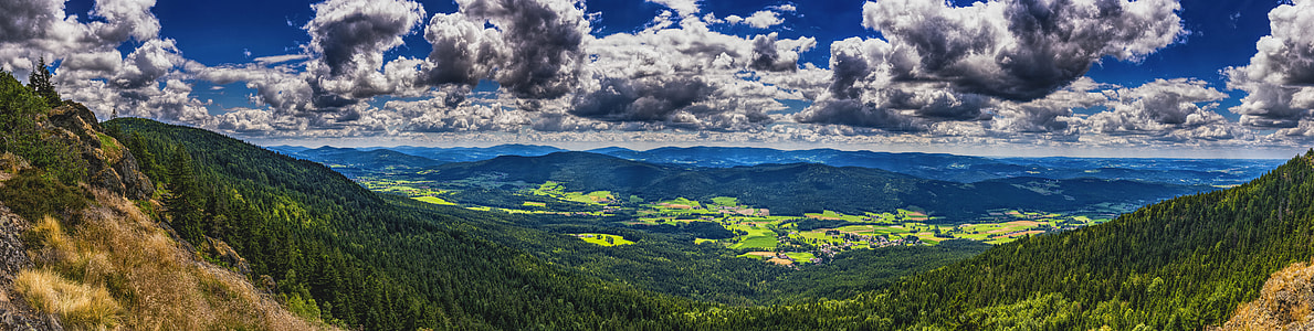 green trees under cloudy sky thumbnail