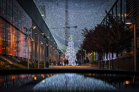 two person walking near building and trees during nighttime thumbnail