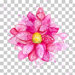 Flower Watercolor painting Drawing, Water-color ink flowers, pink petaled flower illustration PNG clipart
