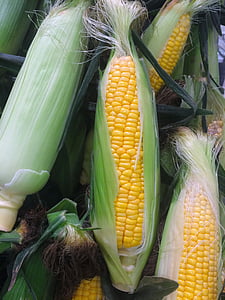 sweet corns thumbnail