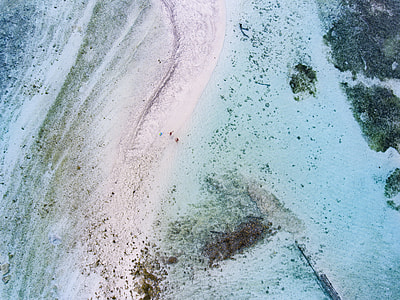 green trees and beach thumbnail