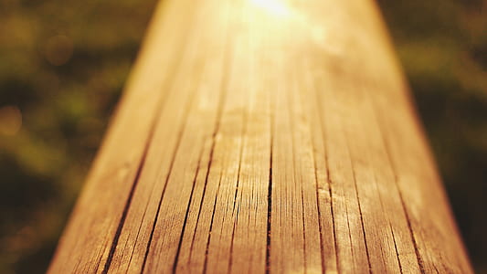 brown tree log thumbnail