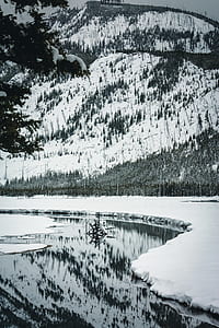 snow terrain with stream almost frost thumbnail