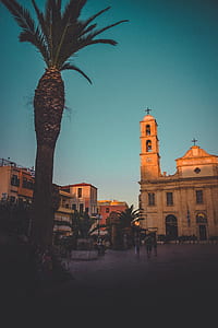 green palm tree near brown concrete chapel at daytime thumbnail