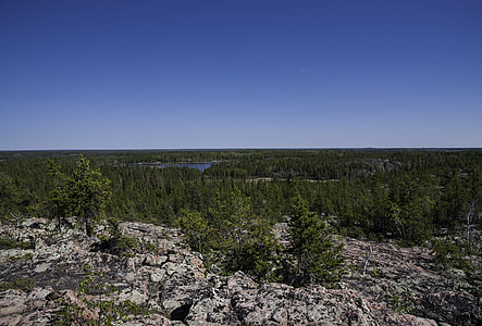 Overlook on the pine forest on the Ingraham Trail thumbnail