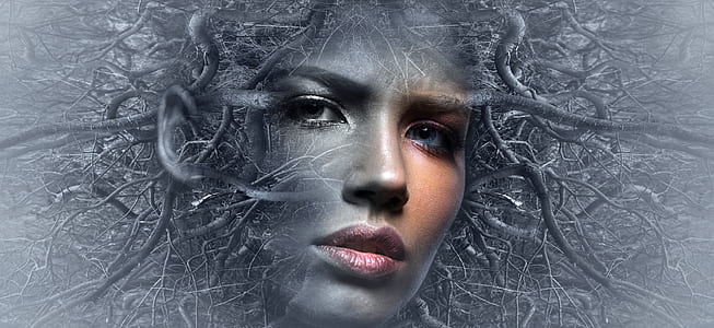woman's face on trunk illustration thumbnail
