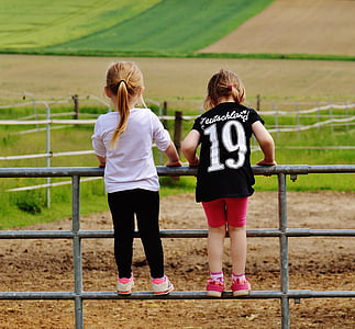 two toddler's climbing on metal farm fence thumbnail