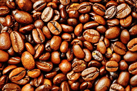 brown coffee bean lot thumbnail