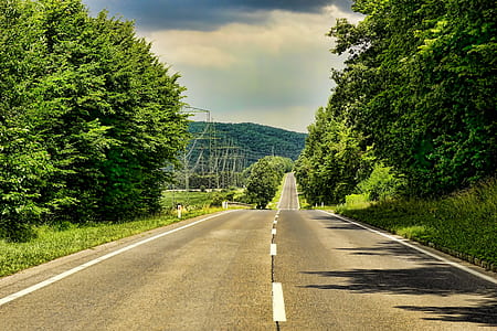 gray concrete road between trees at daytime thumbnail