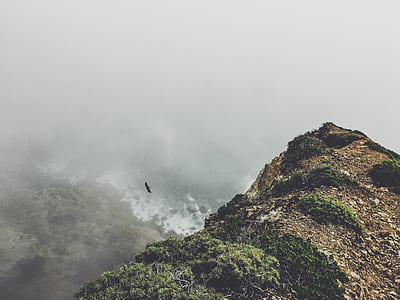 mountain covered by fog thumbnail
