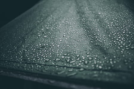 dropet, umbrella, black, wet thumbnail