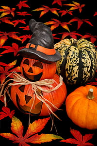 jack-o'-lantern and pumpkin on black surface thumbnail