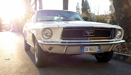 white Ford Mustang near tree thumbnail