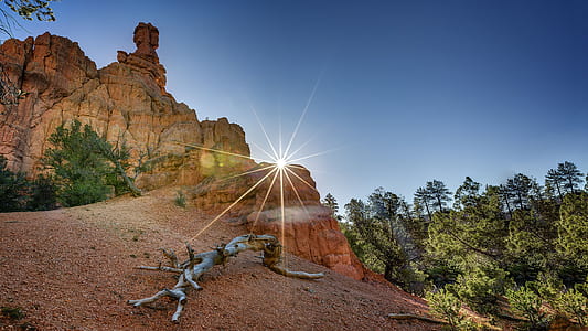 landscape photography of rocky hill and green leaf tree under clear blue sky thumbnail