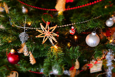 Close-up of Christmas Decoration Hanging on Tree thumbnail