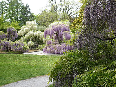 landscape photo of trees thumbnail