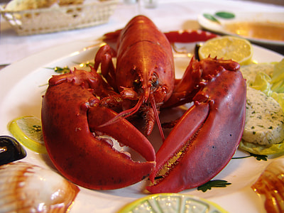 cooked lobster on white plate thumbnail