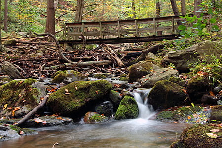 A wooden bridge crosses Dunnfield Creek near a small casade in the Delaware Water Gap New Jersey side. thumbnail