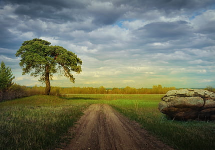 brown dirt road between green fields thumbnail