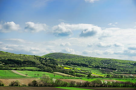 scenery of plain field thumbnail