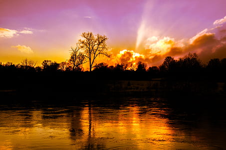 silhouette of trees near body of water thumbnail