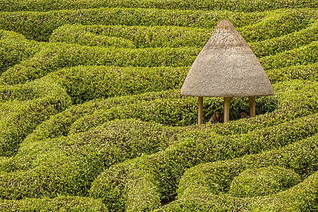 brown nipa hut in the middle of green grass thumbnail
