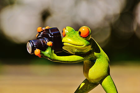 red eyed frog holding camera figurine thumbnail