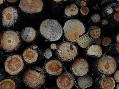 brown wood slabs thumbnail