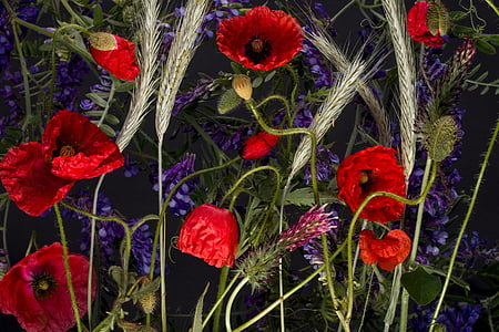 red petaled flowers thumbnail