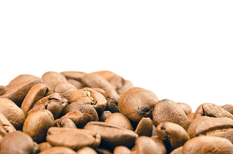 Selective Focus Photography of Coffee Beans thumbnail