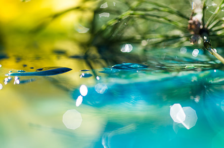 Abstract, Macro Photography, macro, water, mirroring, bokeh thumbnail