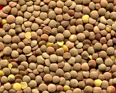 brown seeds thumbnail