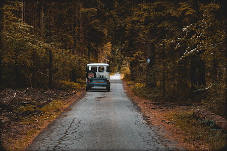 white and blue car driving in middle of road during daytime thumbnail