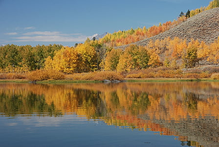 calm body of water near trees at daytime thumbnail