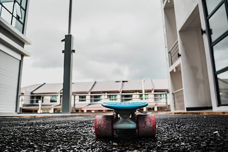 Close-up Photography of Skateboard thumbnail